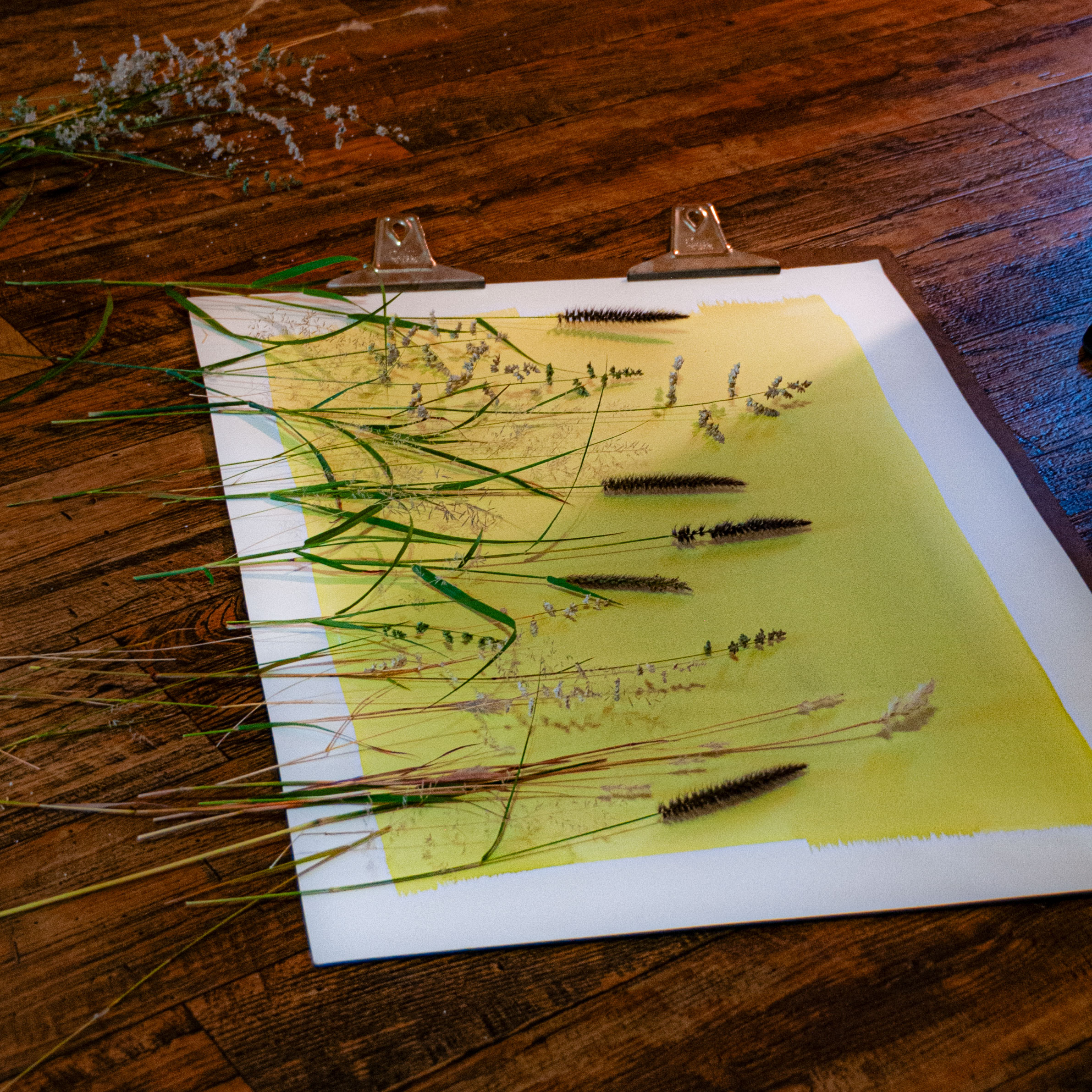 Cyanotype prints in progress