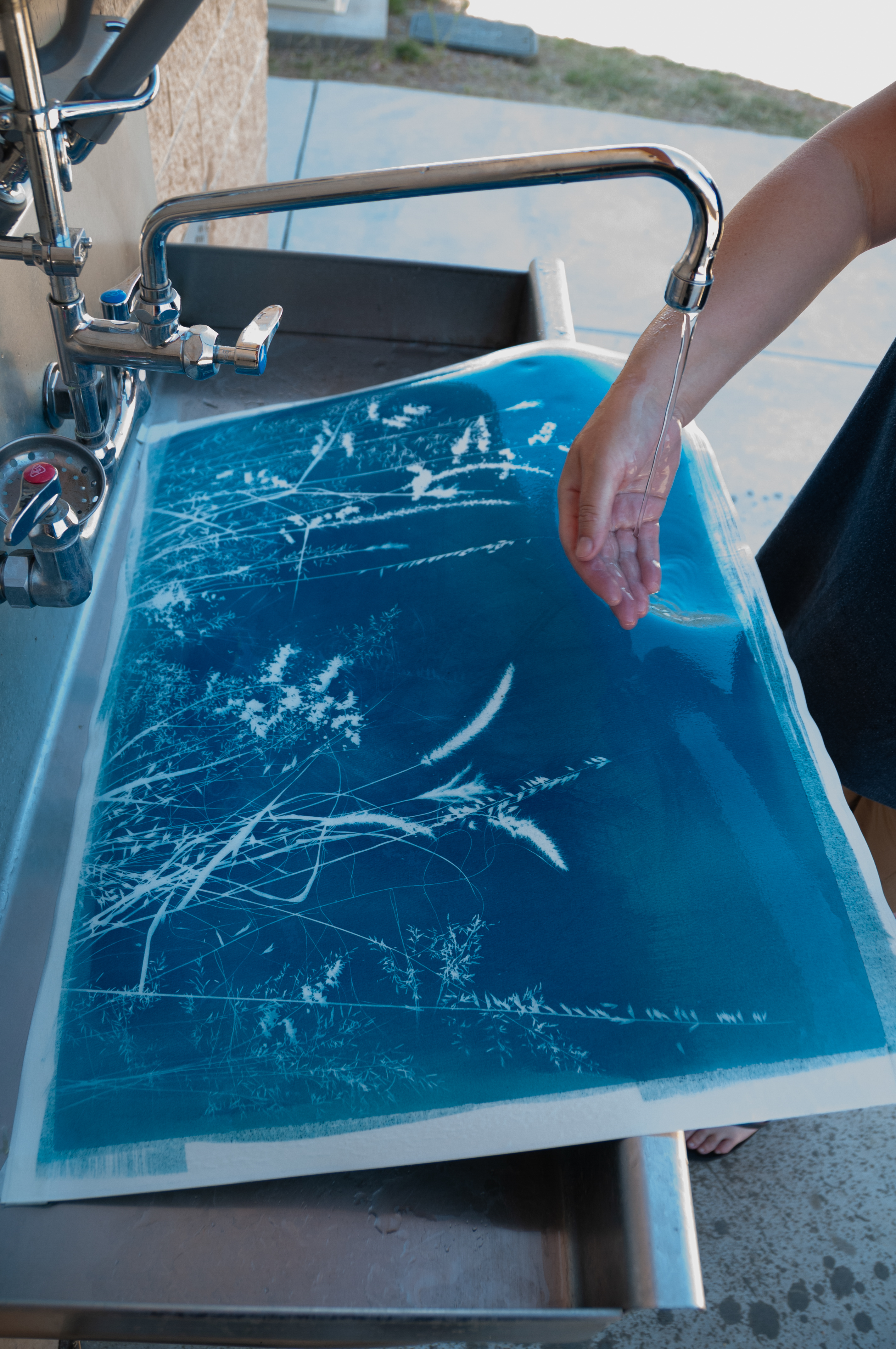 Cyanotype process detail