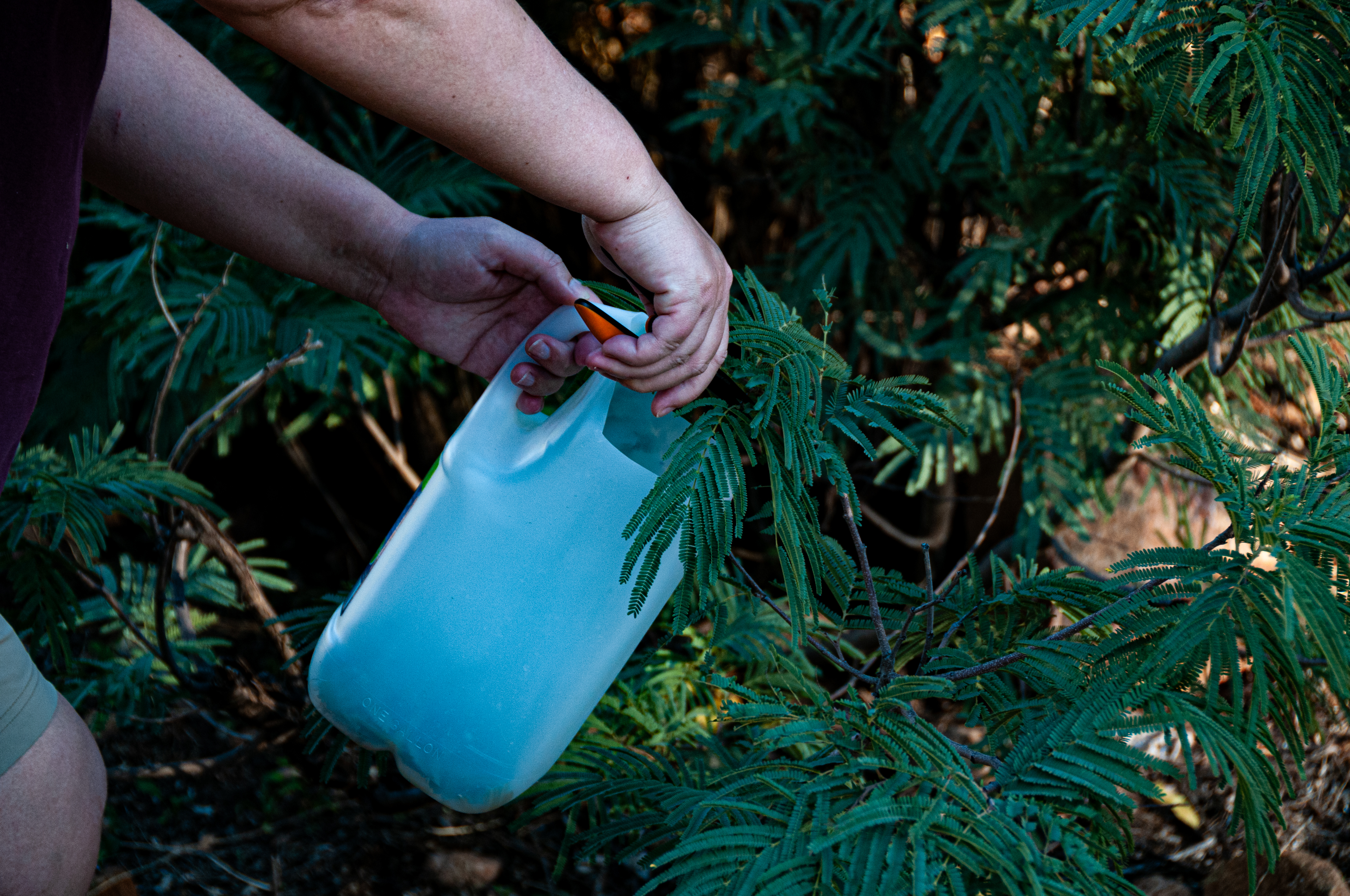 Fieldwork at Patagonia Lake