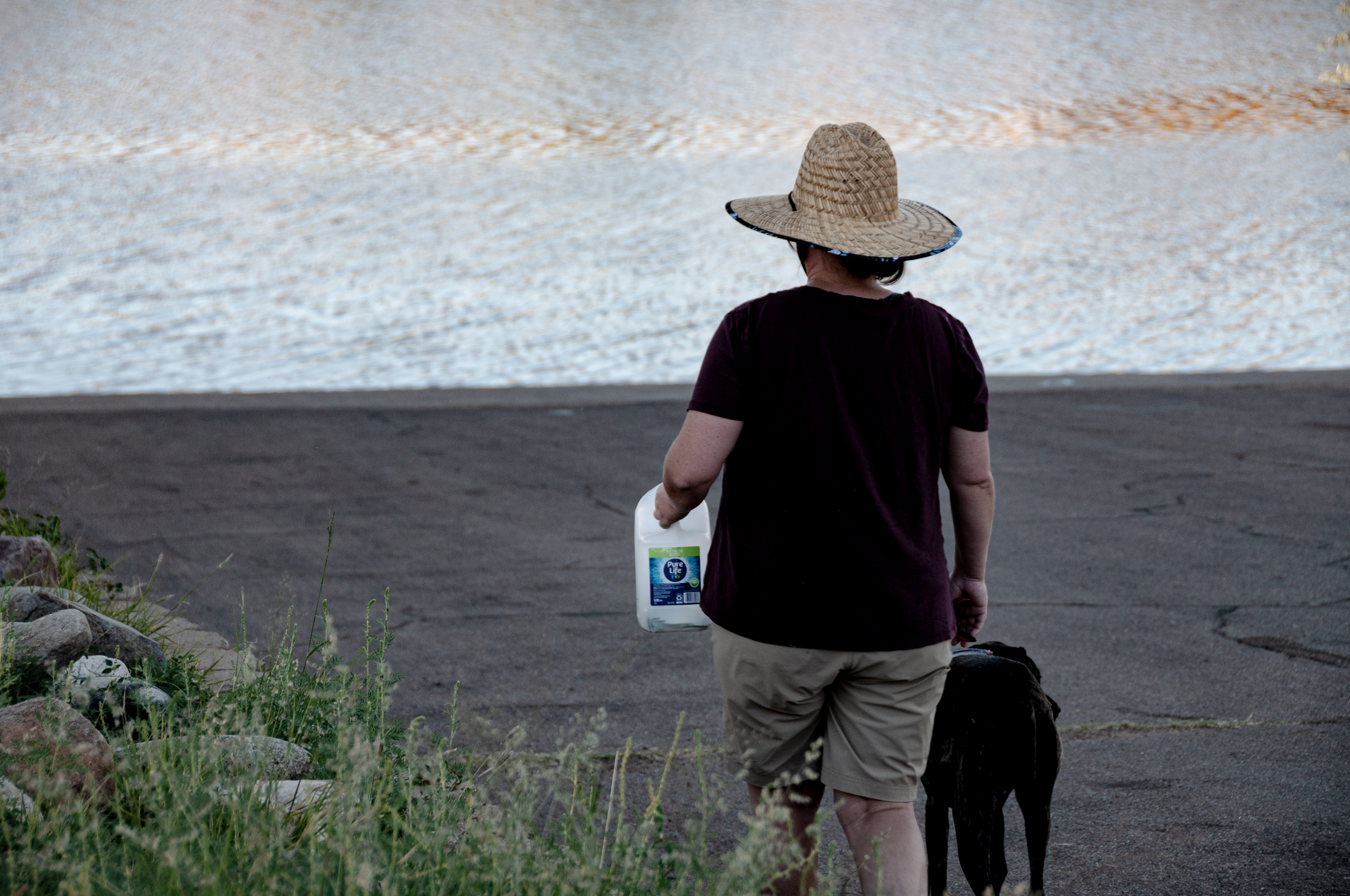 Cyanotype process in progress at Patagonia Lake