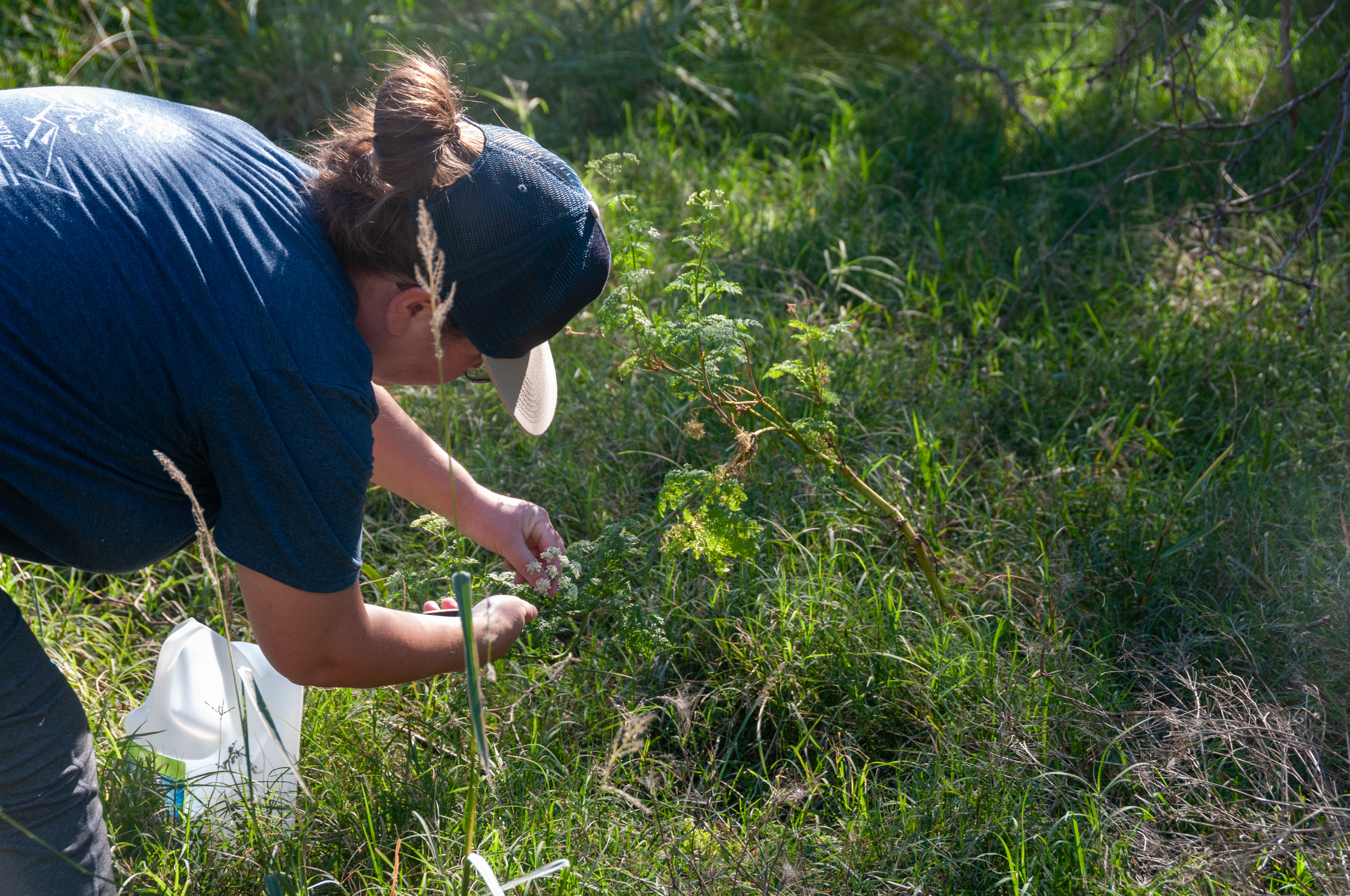 Fieldwork at Patagonia Lake