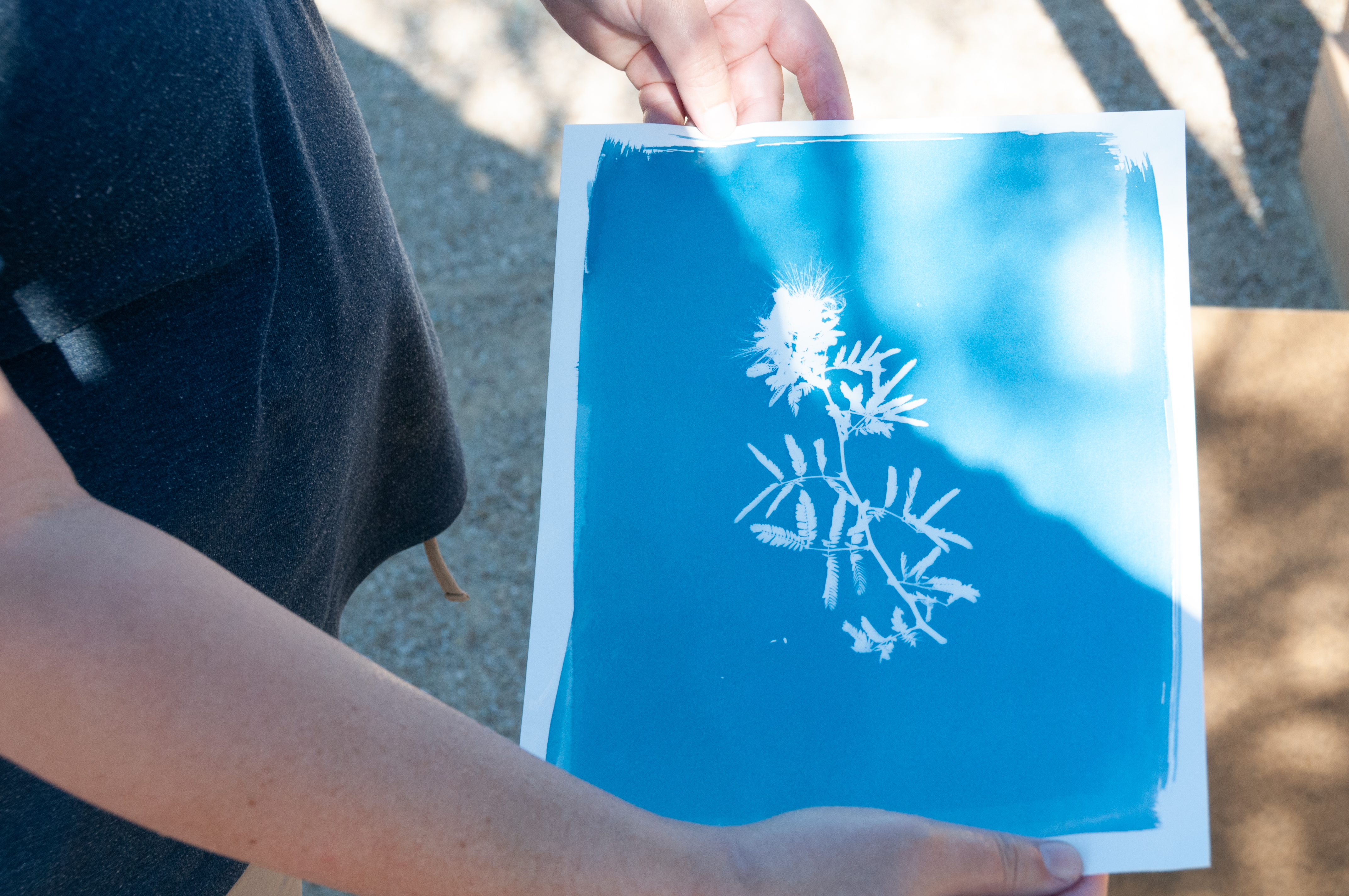 Works in progress taped up in the cabin