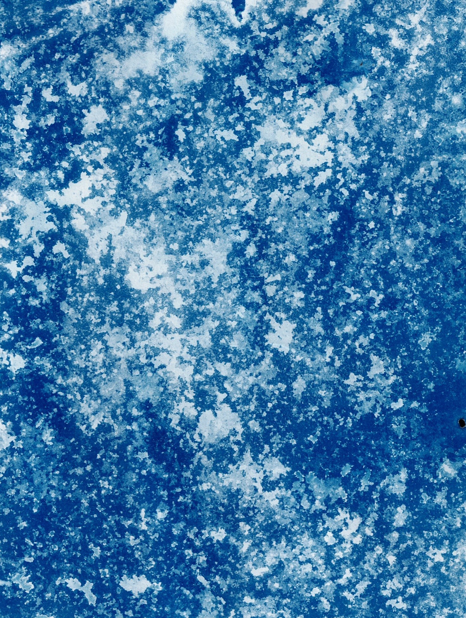 Snowfall January, 2025 Flagstaff