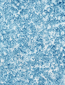 Snowfall